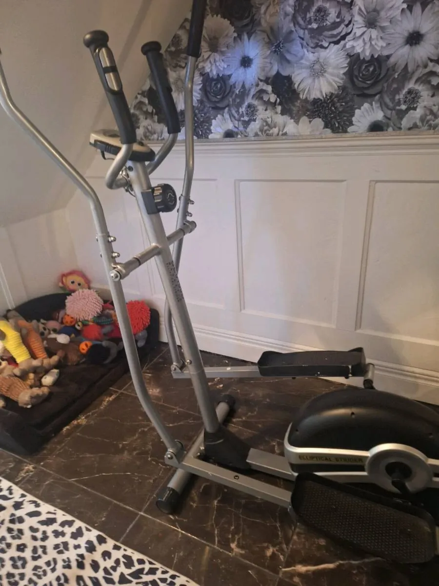 Elliptical  Strider - Image 1