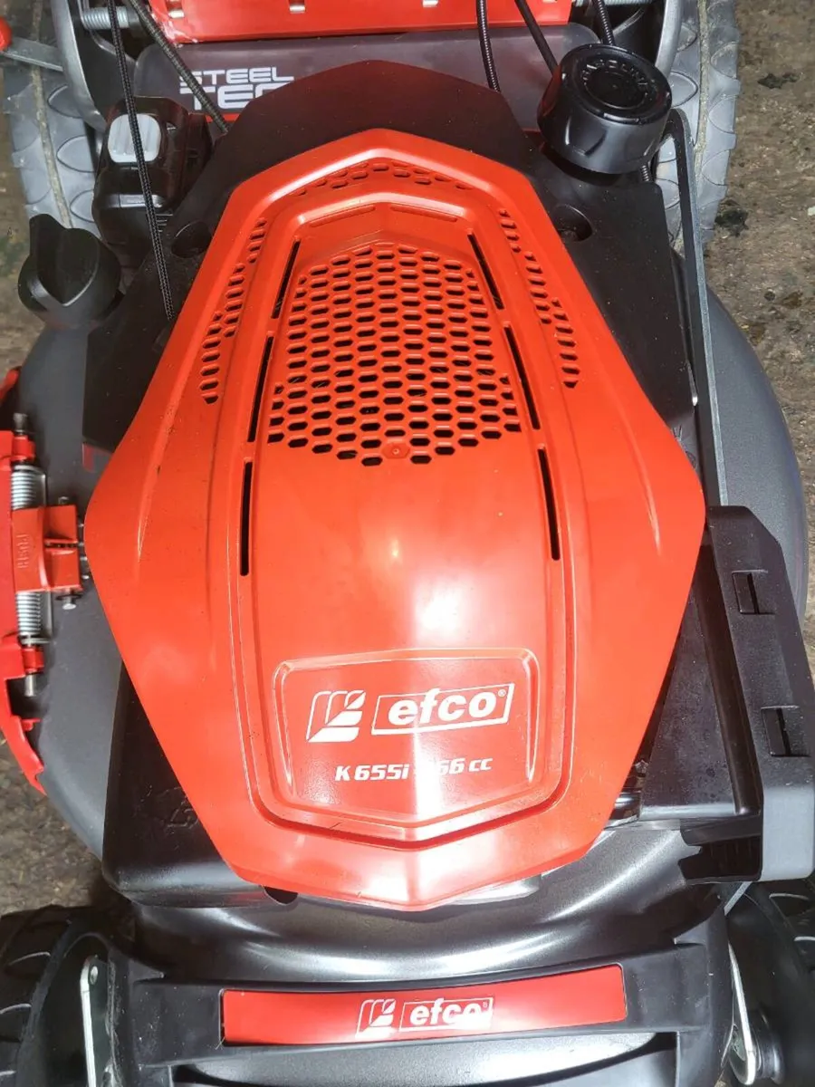 Efco lawnmower - Image 2