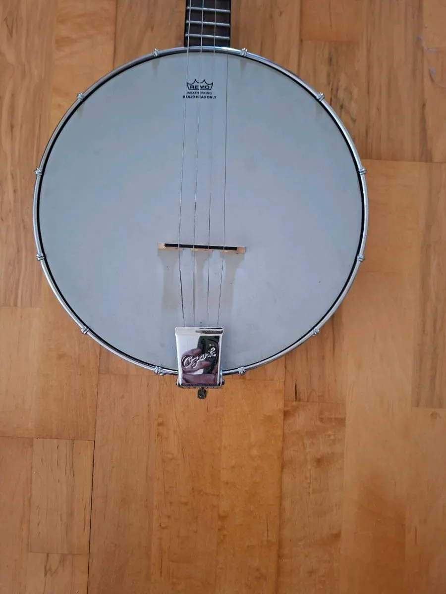 Beginners Banjo - Image 2