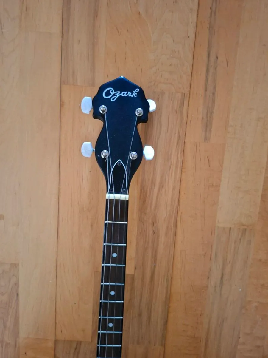 Beginners Banjo - Image 3