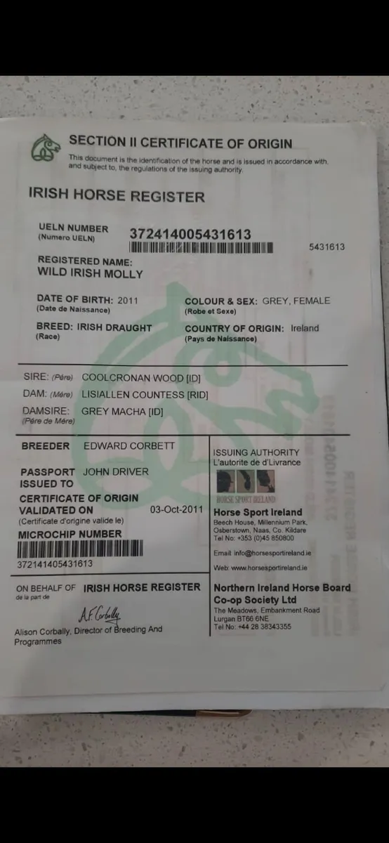 Broodmare - Image 2
