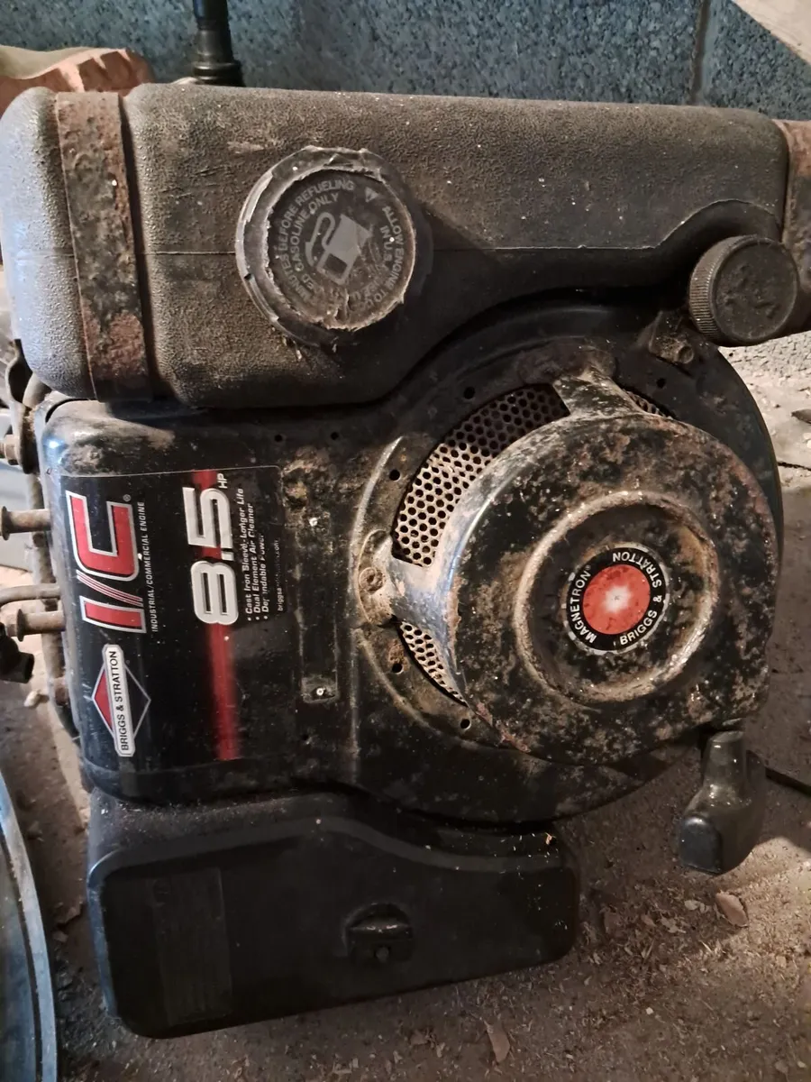 Briggs and Stratton Engine. Ariston Undersink Wate - Image 1
