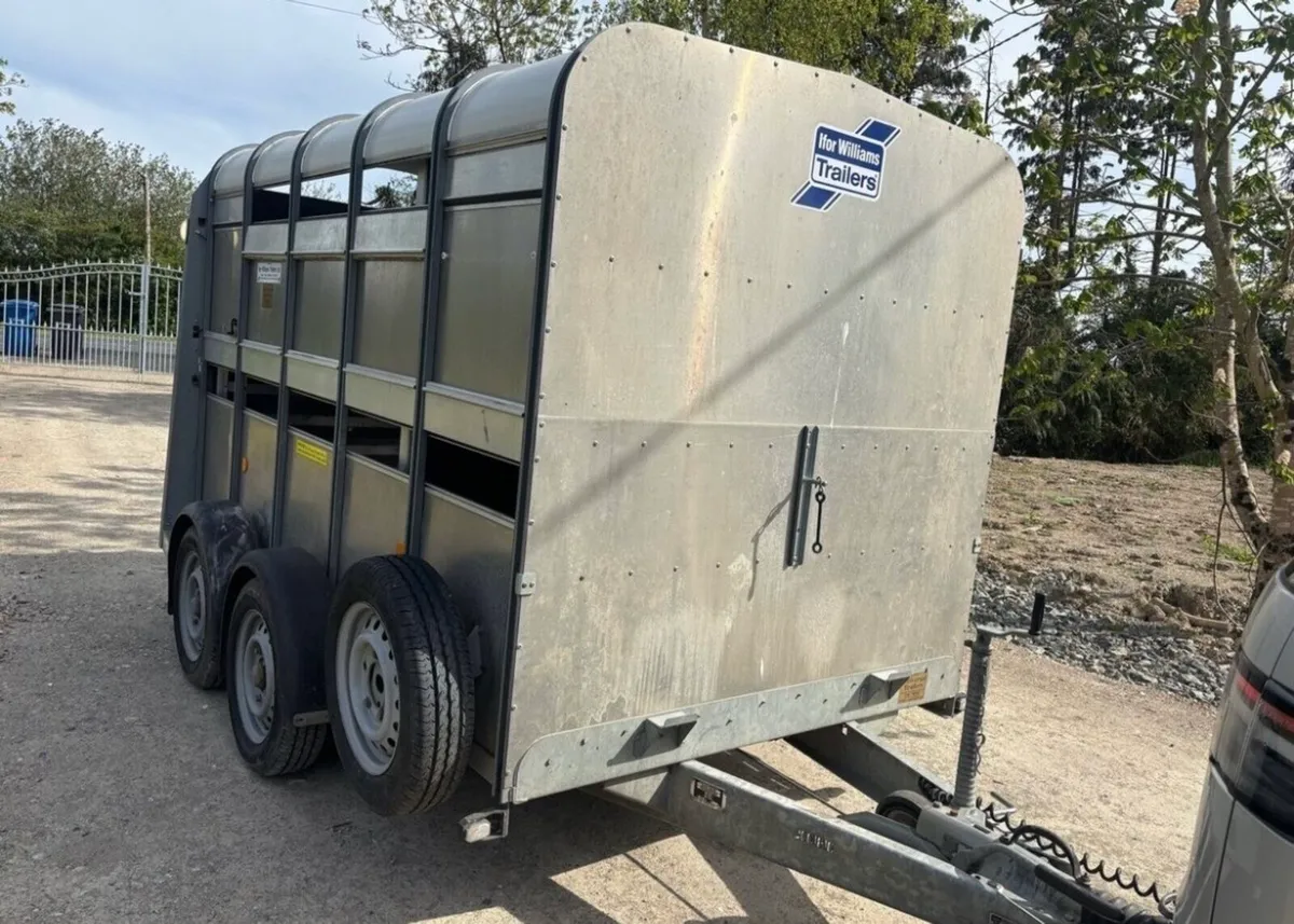 Ifor Williams Cattle Trailer 10x6 - Image 1