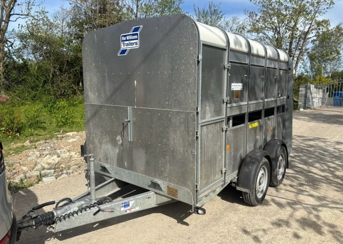 Ifor Williams Cattle Trailer 10x6 - Image 2