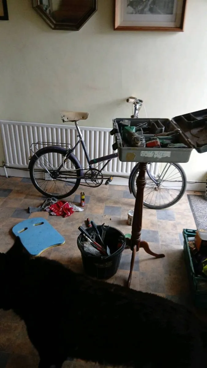 Raleigh 25 .vintage bicycle - Image 2
