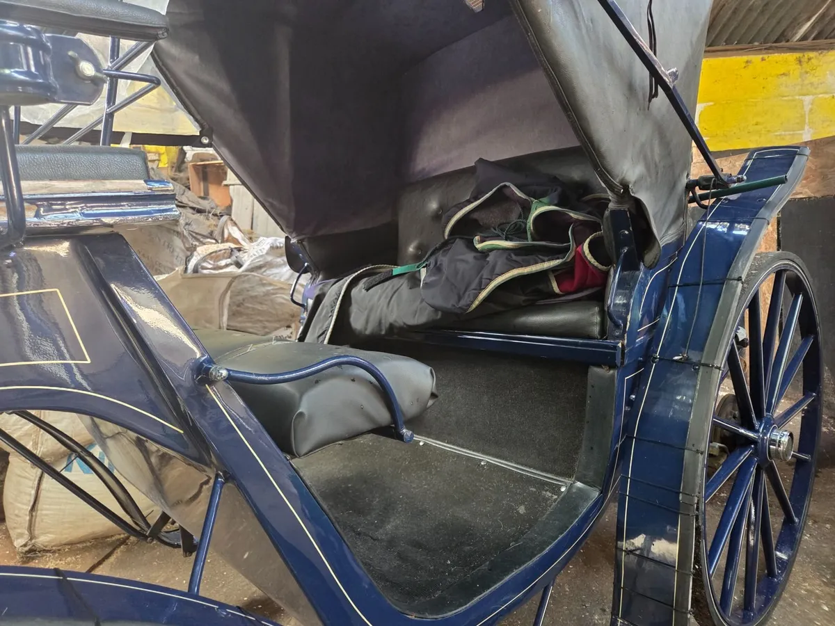 Victoria carriage - Image 2
