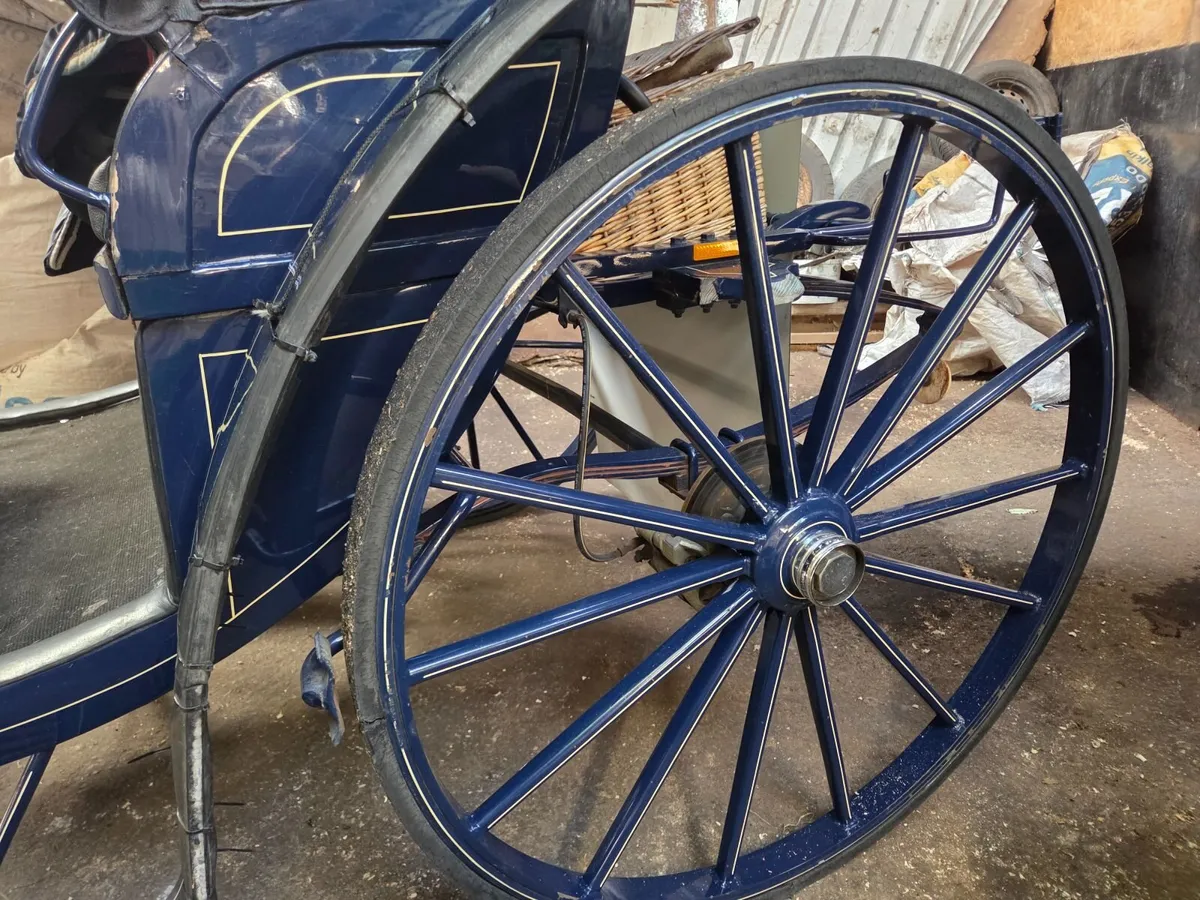 Victoria carriage - Image 4