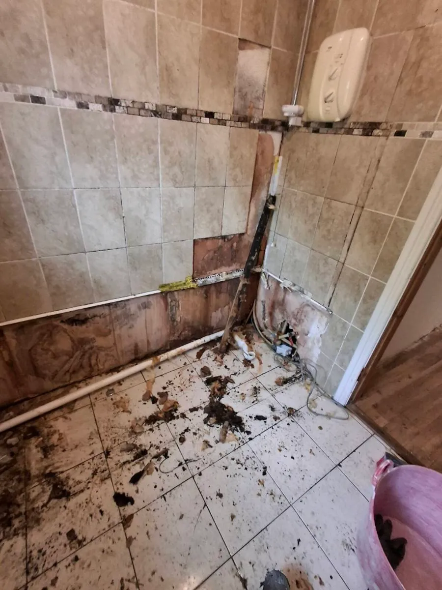 Bathroom  renovations - Image 3