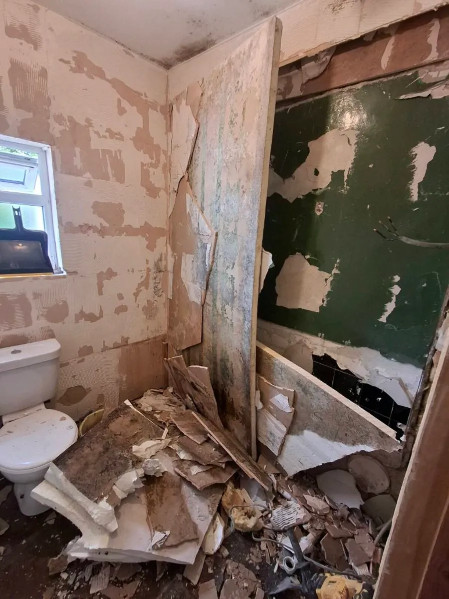Bathroom  renovations - Image 4