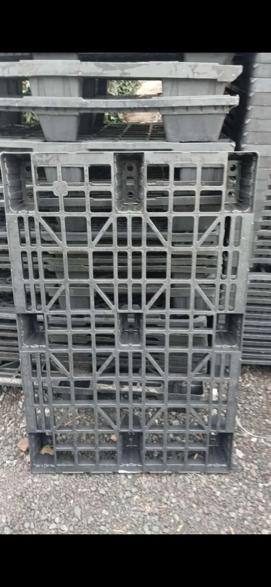 100 plastic pallets - Image 3