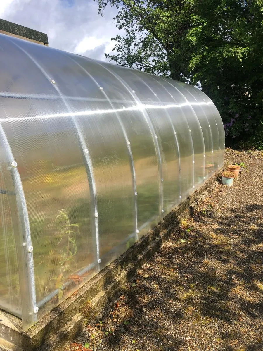 Green house - Image 2