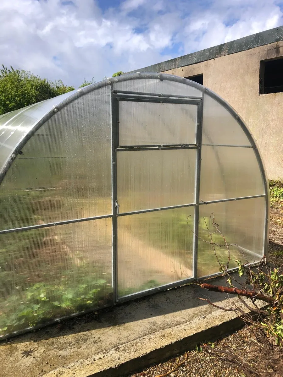 Green house - Image 3