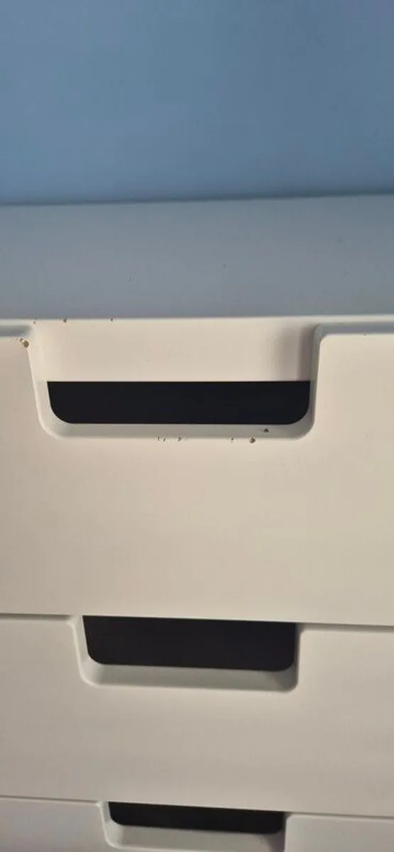 Tall chest of drawers and blanket box - Image 2