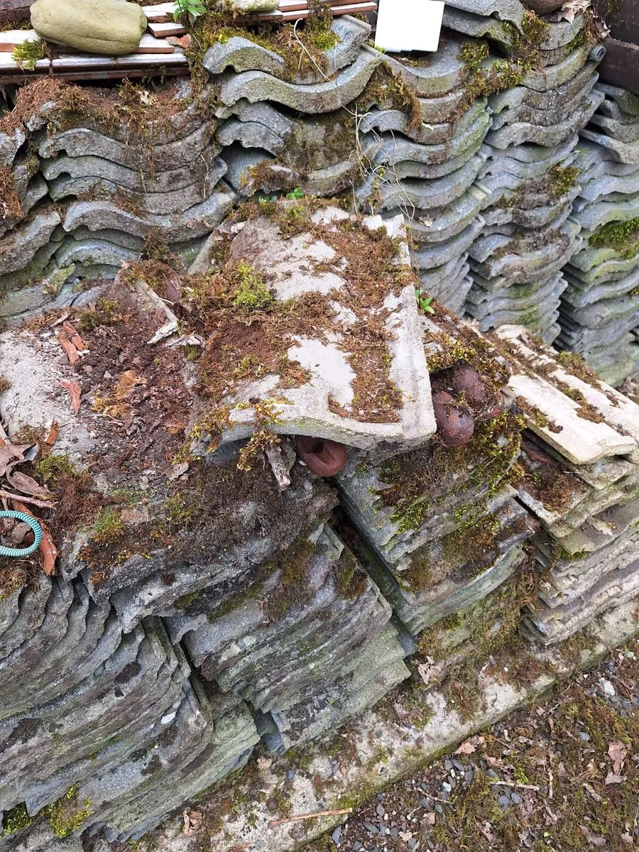 Roof tiles - Image 3
