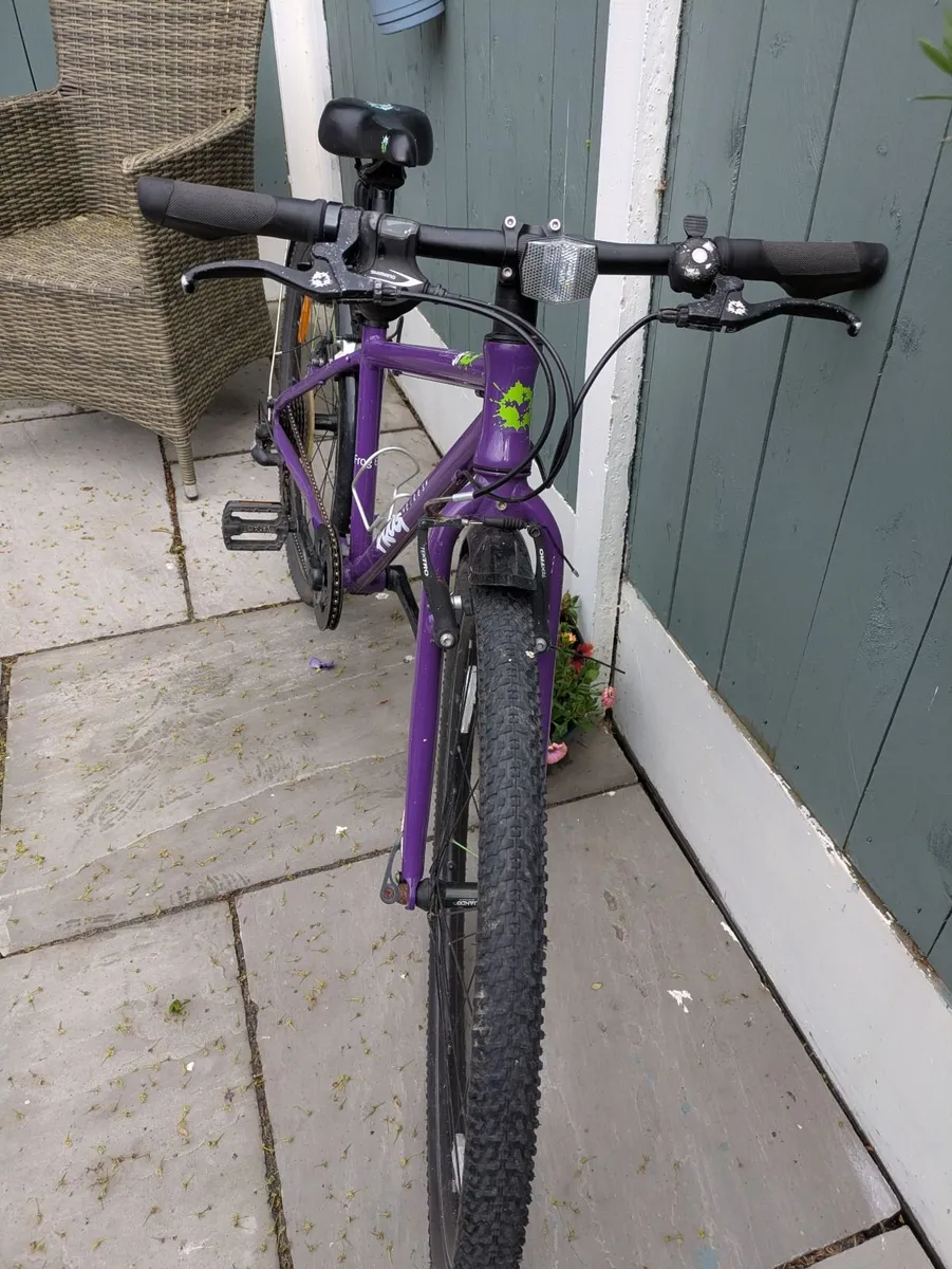 Frog bike