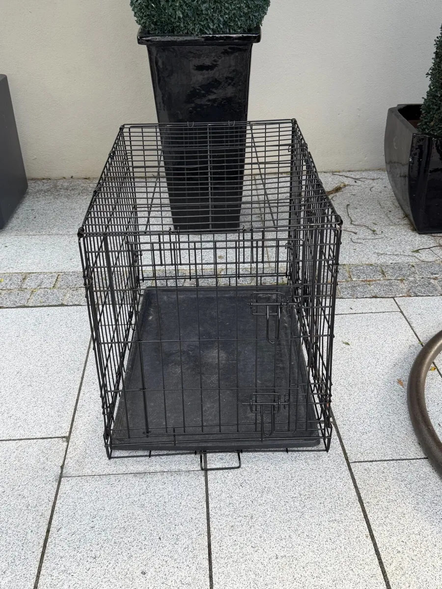 Dog cage - Image 4