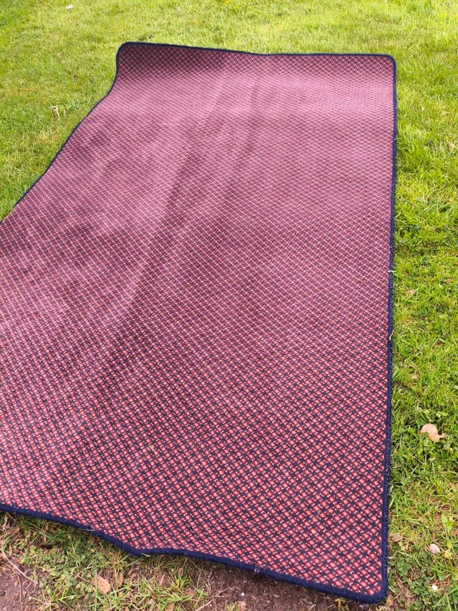 Beautiful spotless rug,25 Euro - Image 3