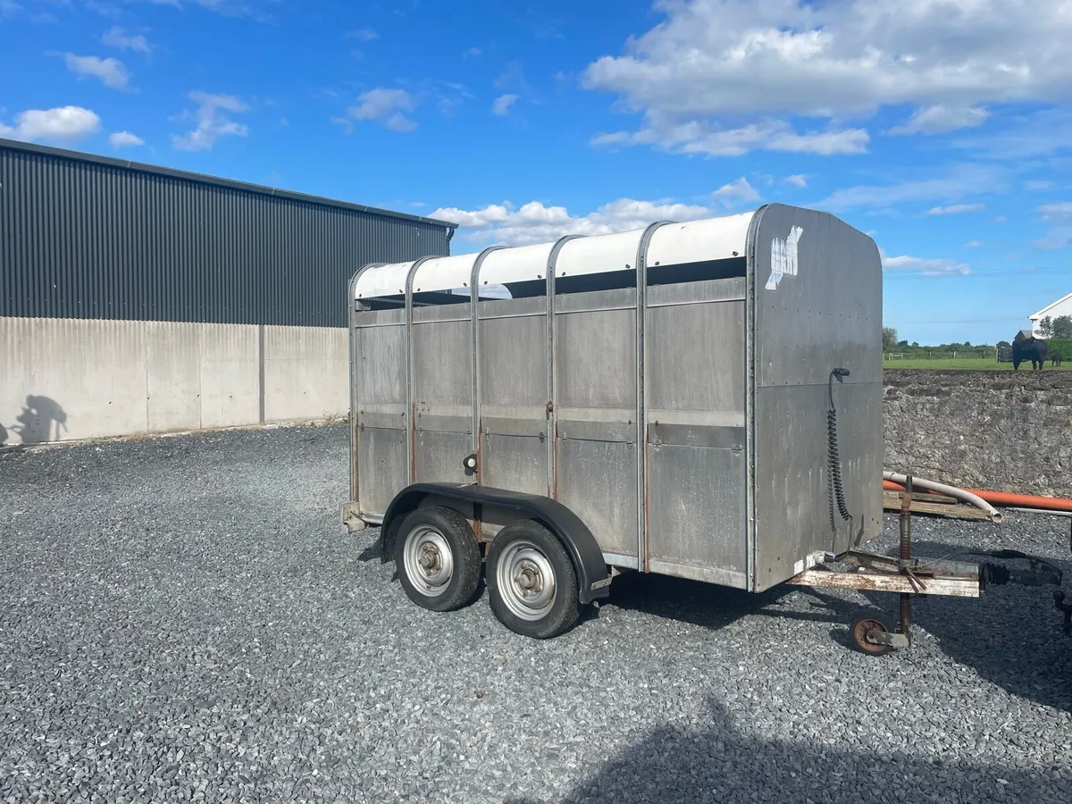 10ft Ifor Williams cattle trailer - Image 1