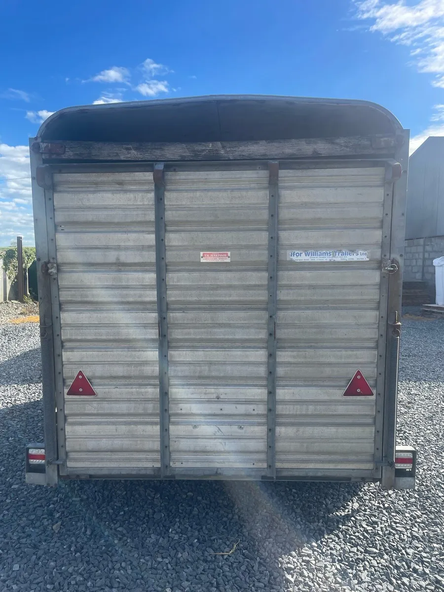 10ft Ifor Williams cattle trailer - Image 2