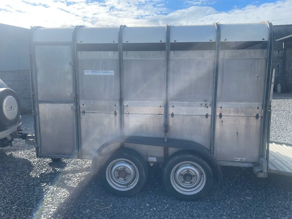 10ft Ifor Williams cattle trailer - Image 3