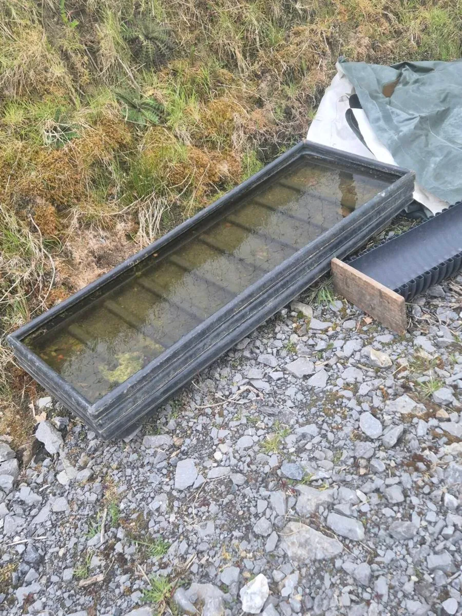Sheep equipment CLEAR OUT - Image 3