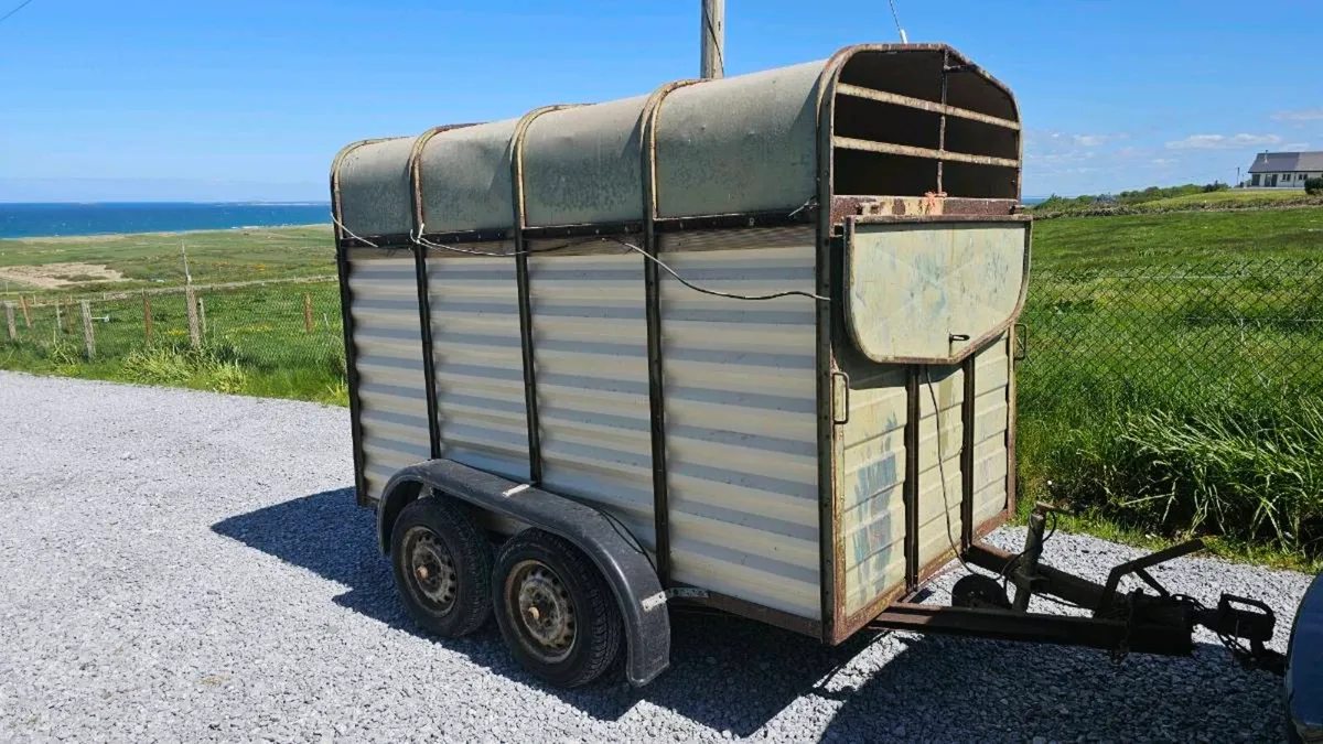 Cattle Box - Image 3
