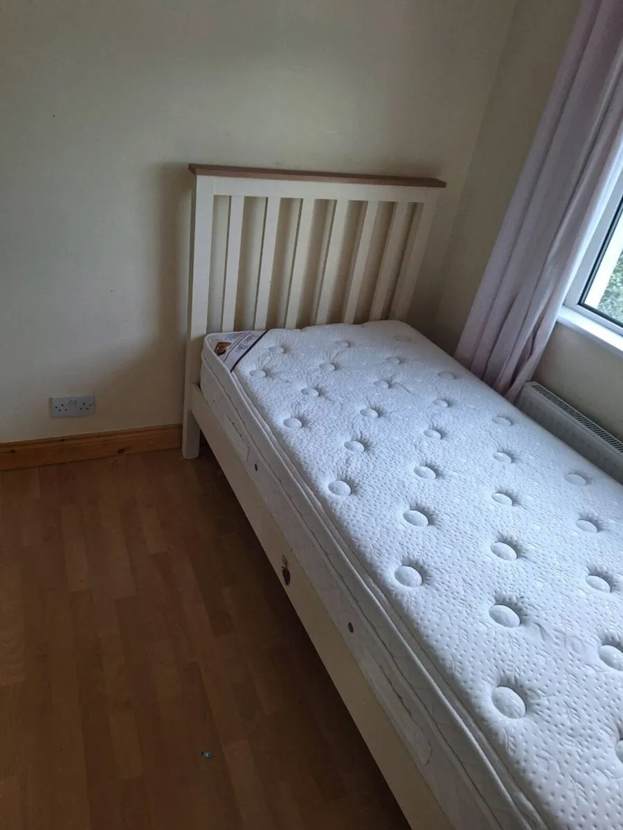 Single Bed Frames (DELIVERY) - Image 4