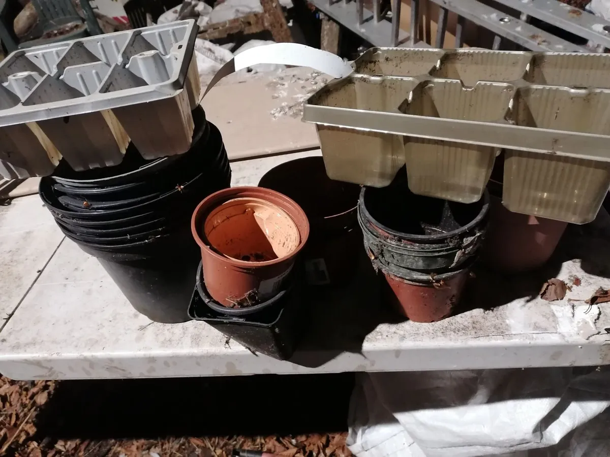 Free Plant pots. No charge - Image 1