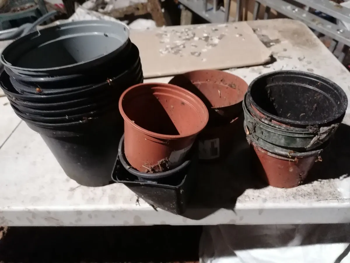 Free Plant pots. No charge - Image 3