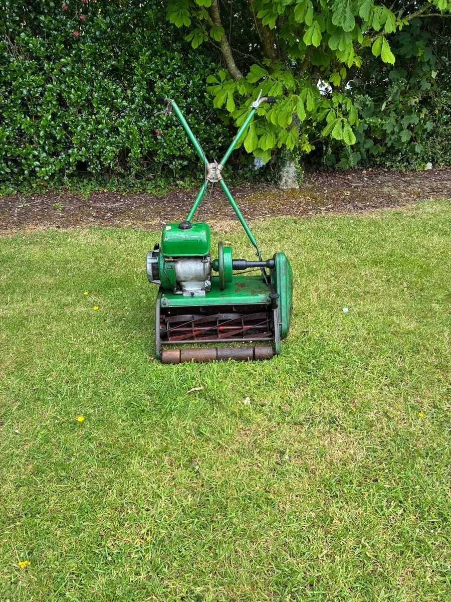Ransomer lawnmower - Image 1