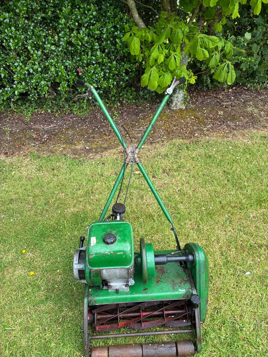 Ransomer lawnmower - Image 2