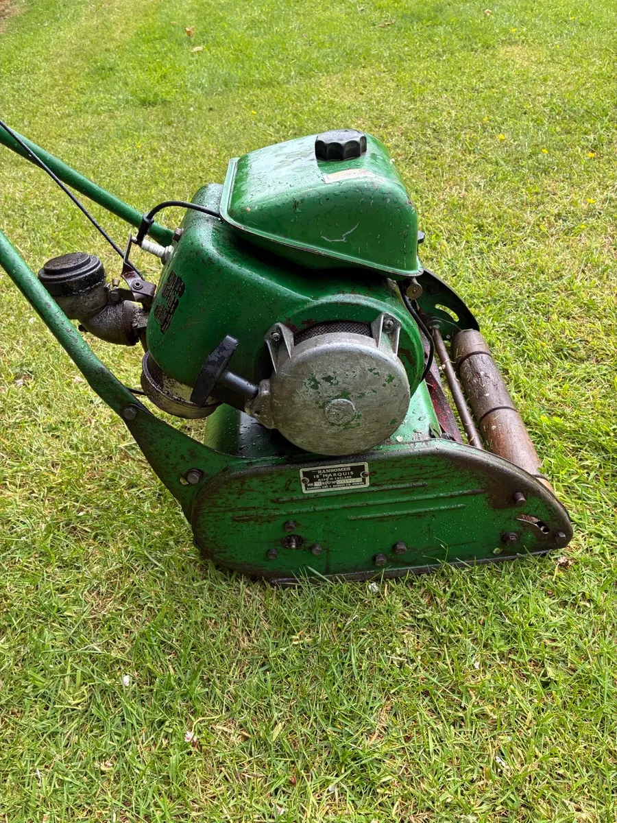 Ransomer lawnmower - Image 3