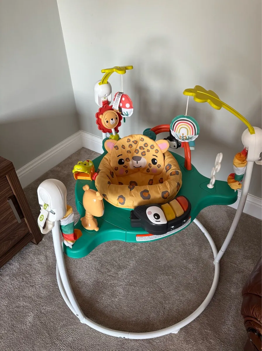 Fisher price jumperoo