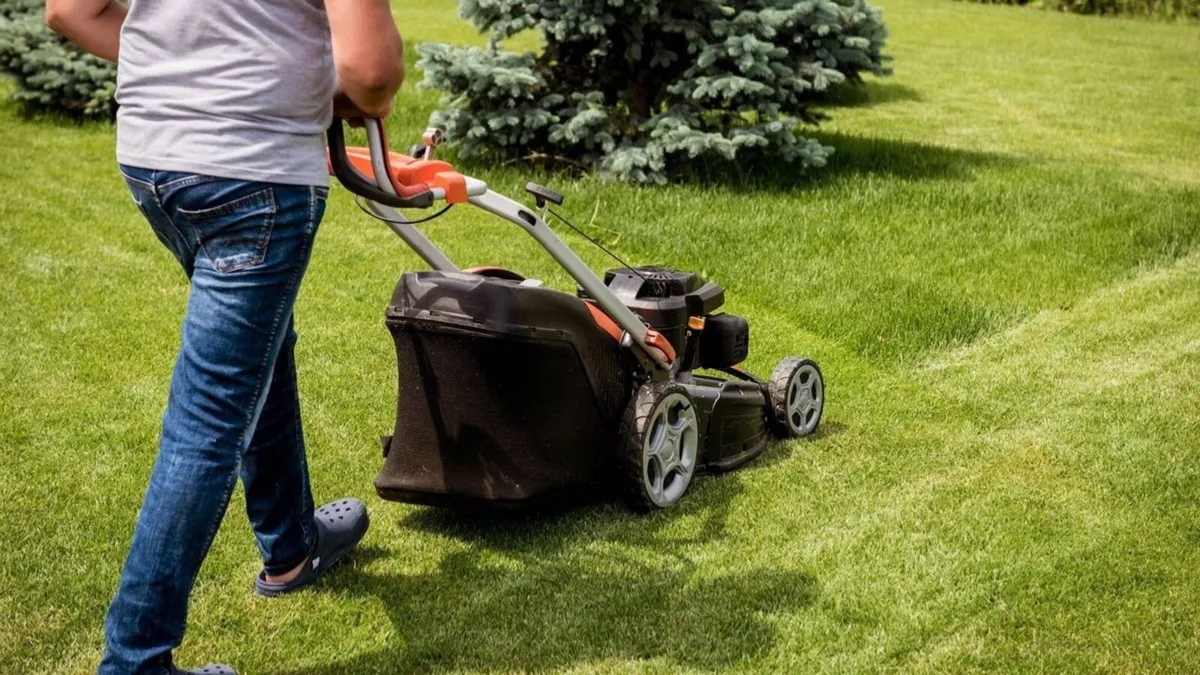 If anyone is looking to get there grass cut in Lon