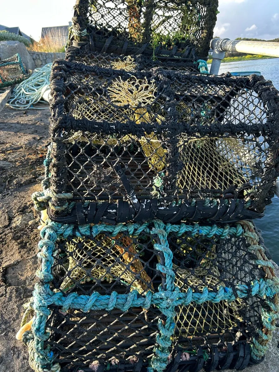 Lobster pots - Image 1