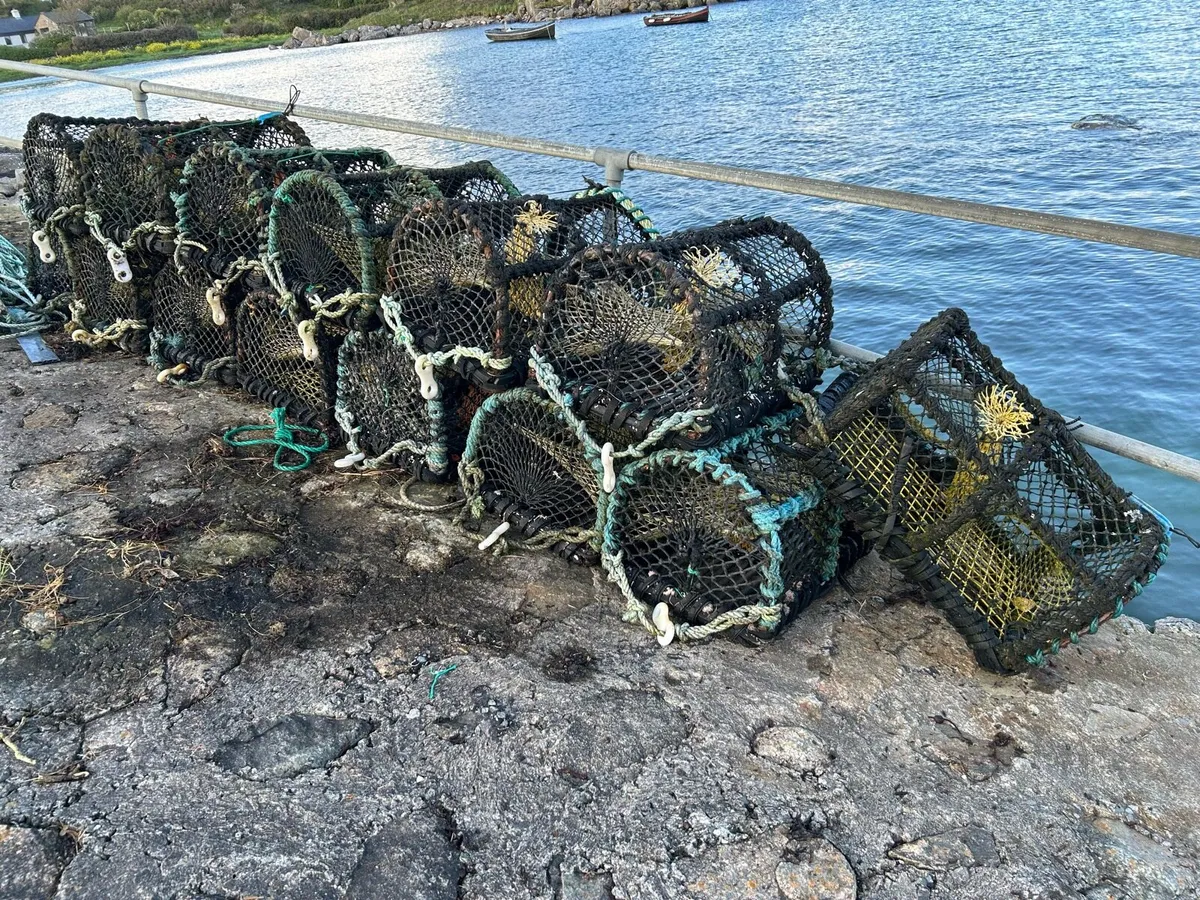 Lobster pots - Image 2