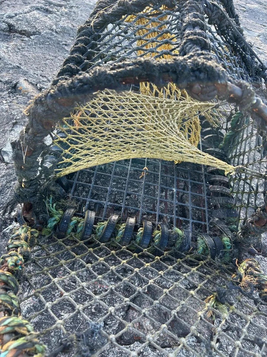 Lobster pots - Image 3