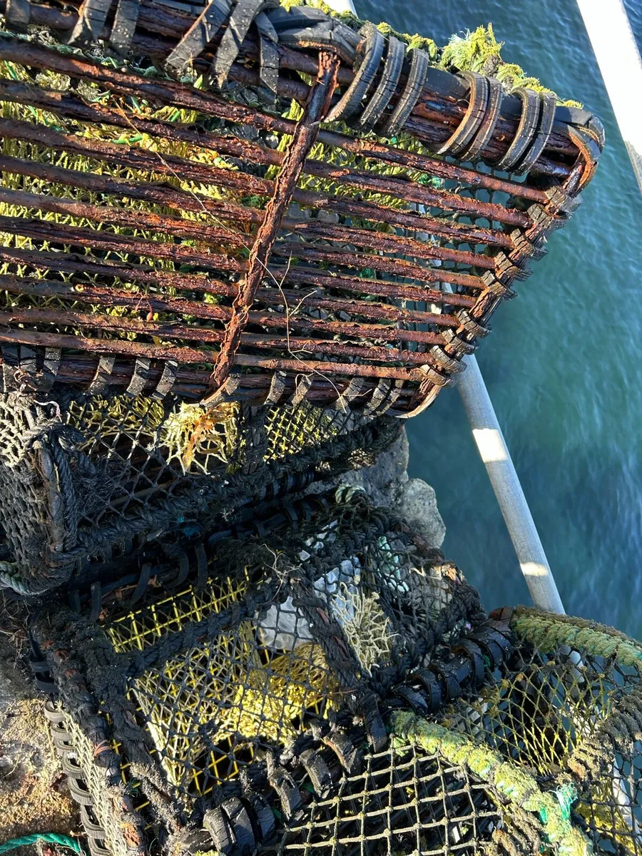 Lobster pots - Image 4