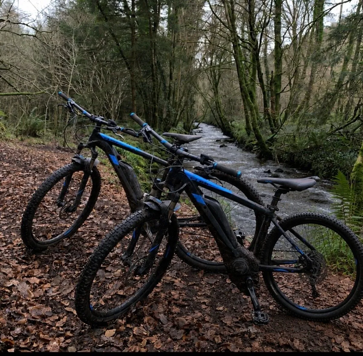 Electric mountain bike x2 - Image 1