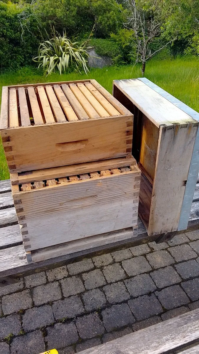 Langstroth Beehive - Image 1