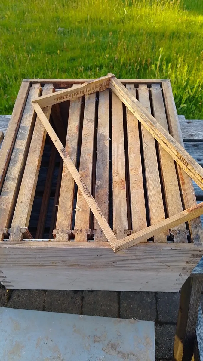 Langstroth Beehive - Image 2