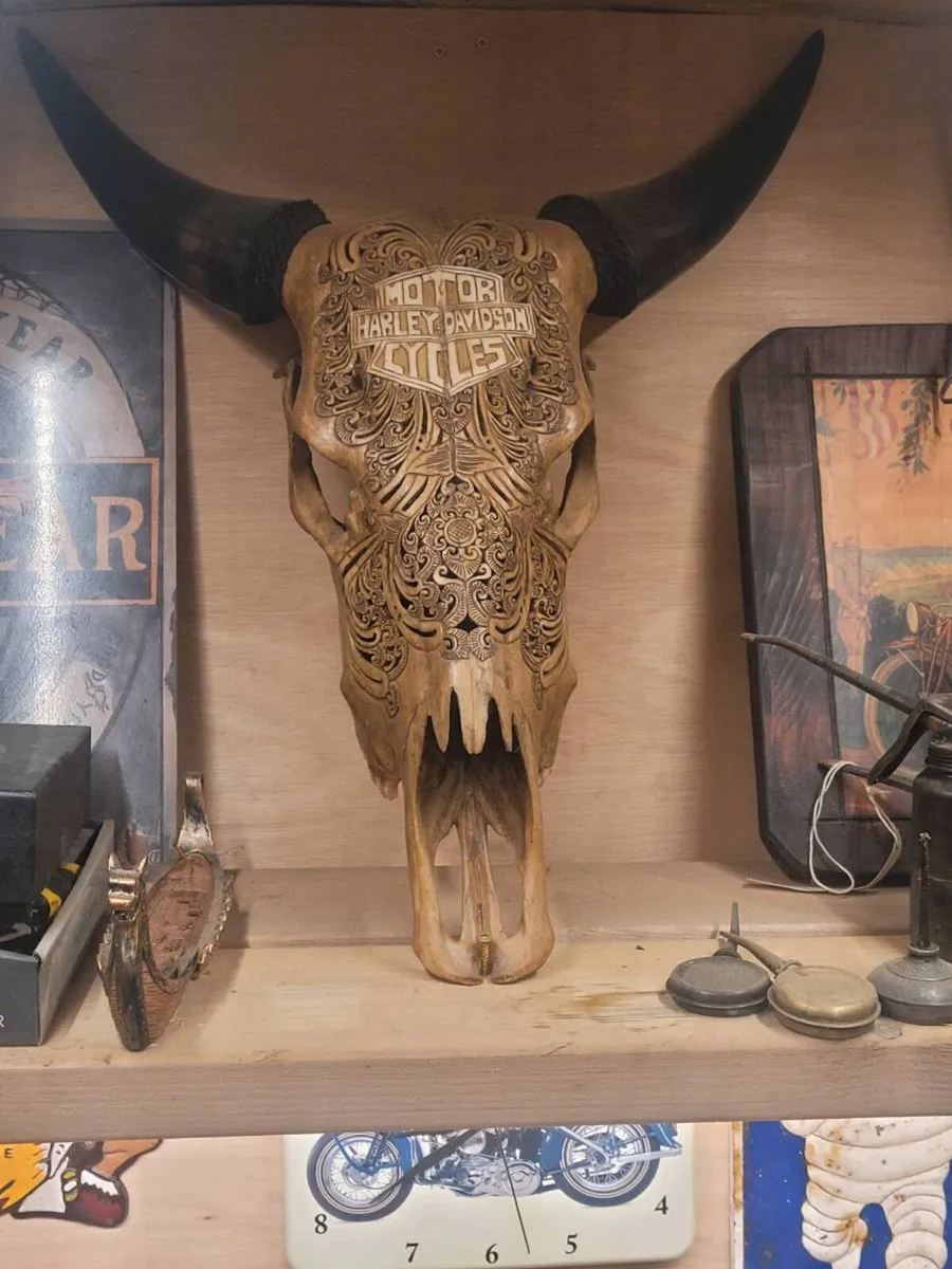 Harley-davidson cow skull - Image 1