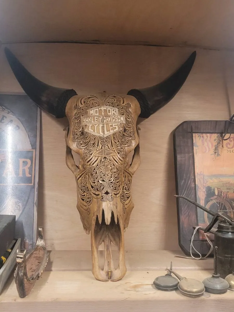 Harley-davidson cow skull - Image 2