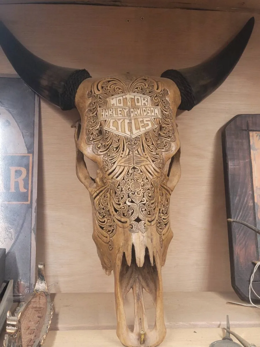 Harley-davidson cow skull - Image 3