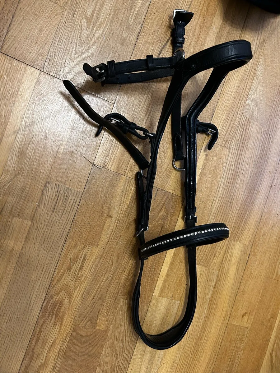 Rambo Micklem bridle - Image 2