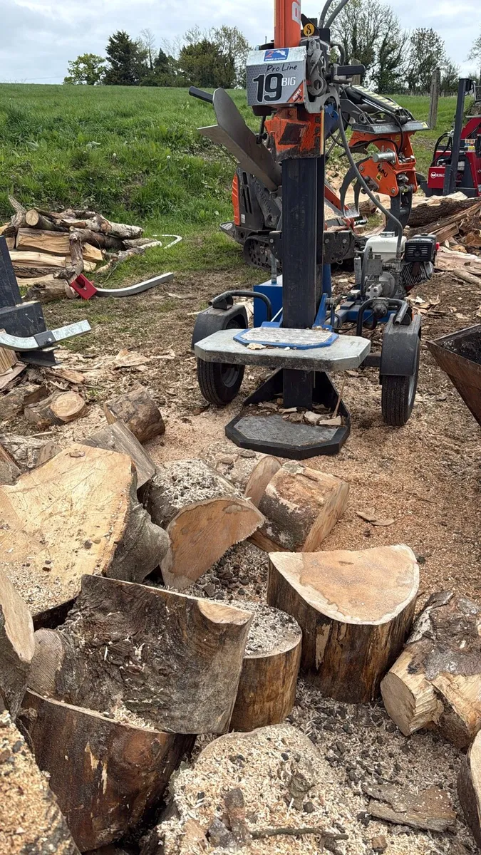 Oversized Firewood Processing - Image 4