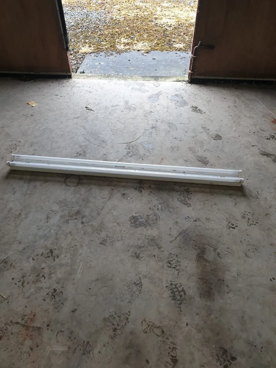 4ft Single Florescent Light & 5ft Double - Image 2
