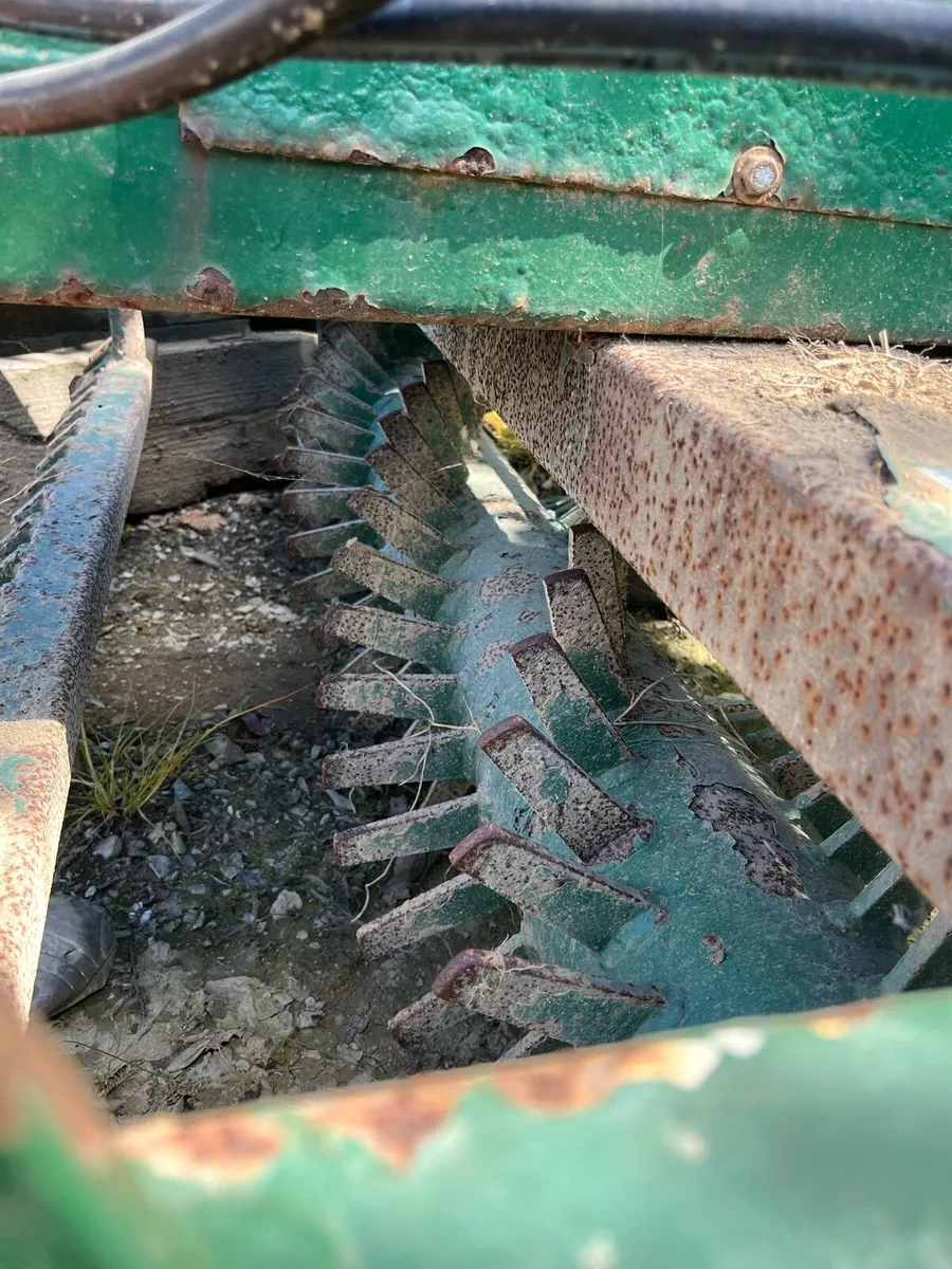 Stone rake - Image 2