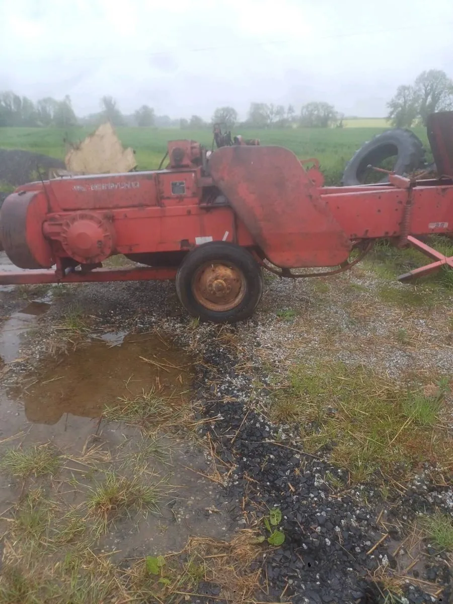 Massey Ferguson 20 baylor for sale - Image 2