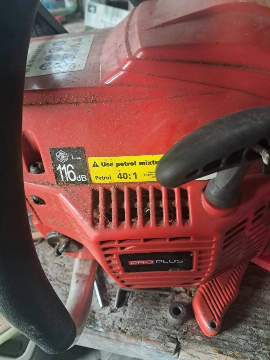 Chainsaw - Image 2